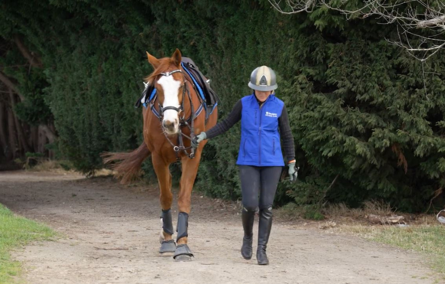 Australian Cup hero Cascadian’s second act with Amanda Ross