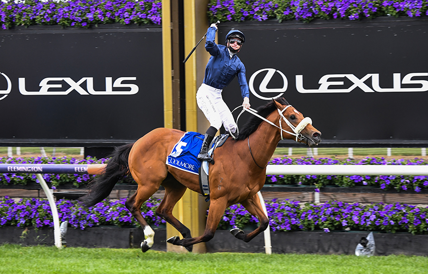 All about Home for Coolmore