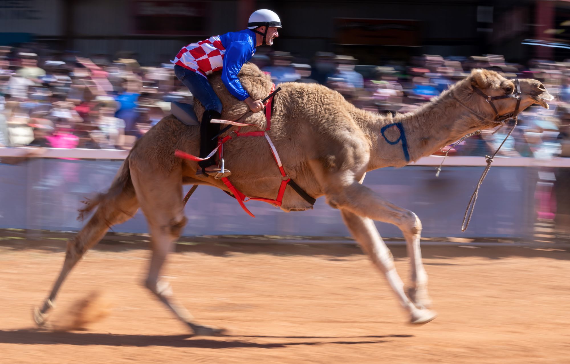 Glen Boss talks camel racing and the Lexus Melbourne Cup Tour