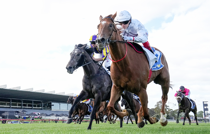 Flemington next for Stealth Of Night