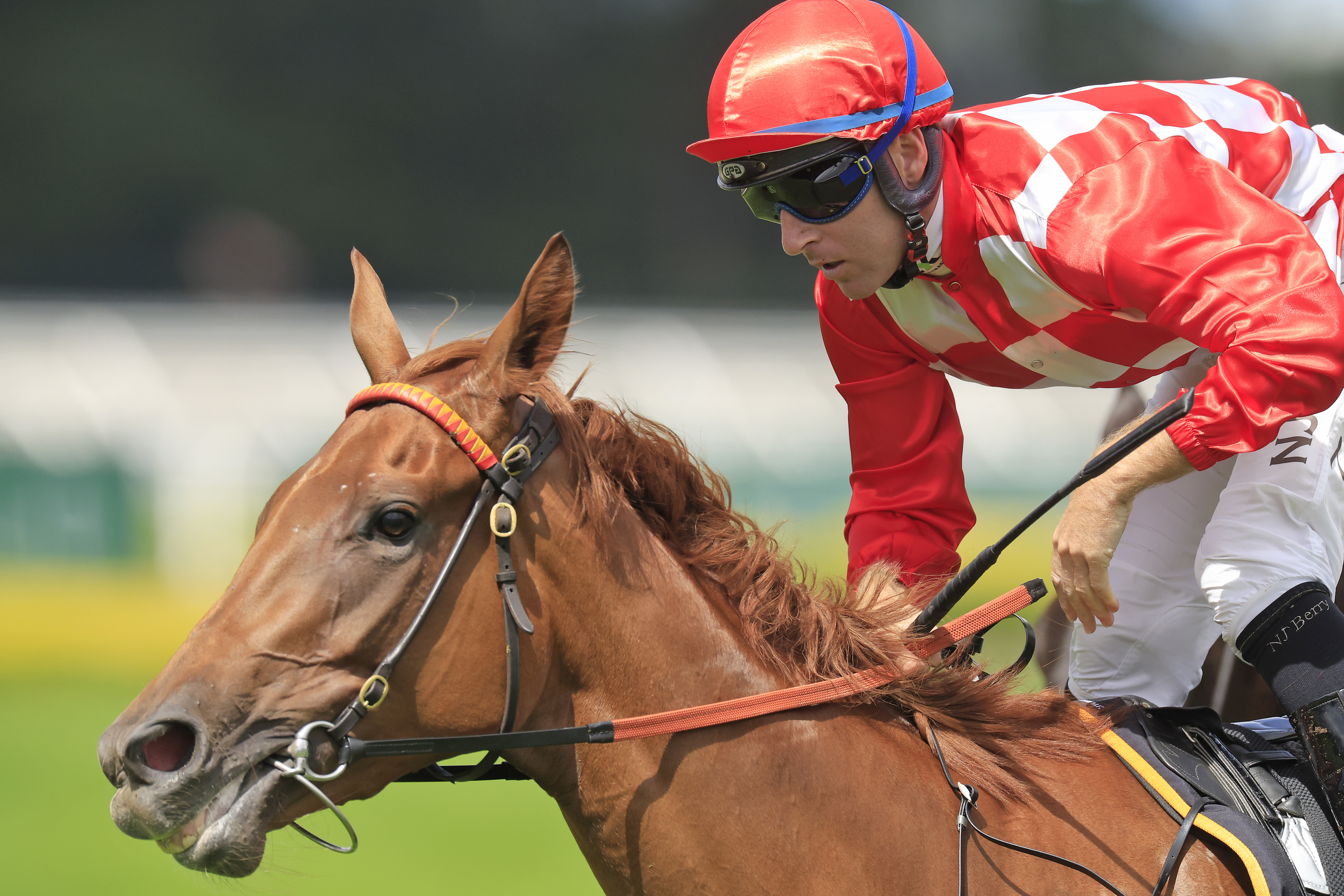 Who are the Kennedy Oaks contenders