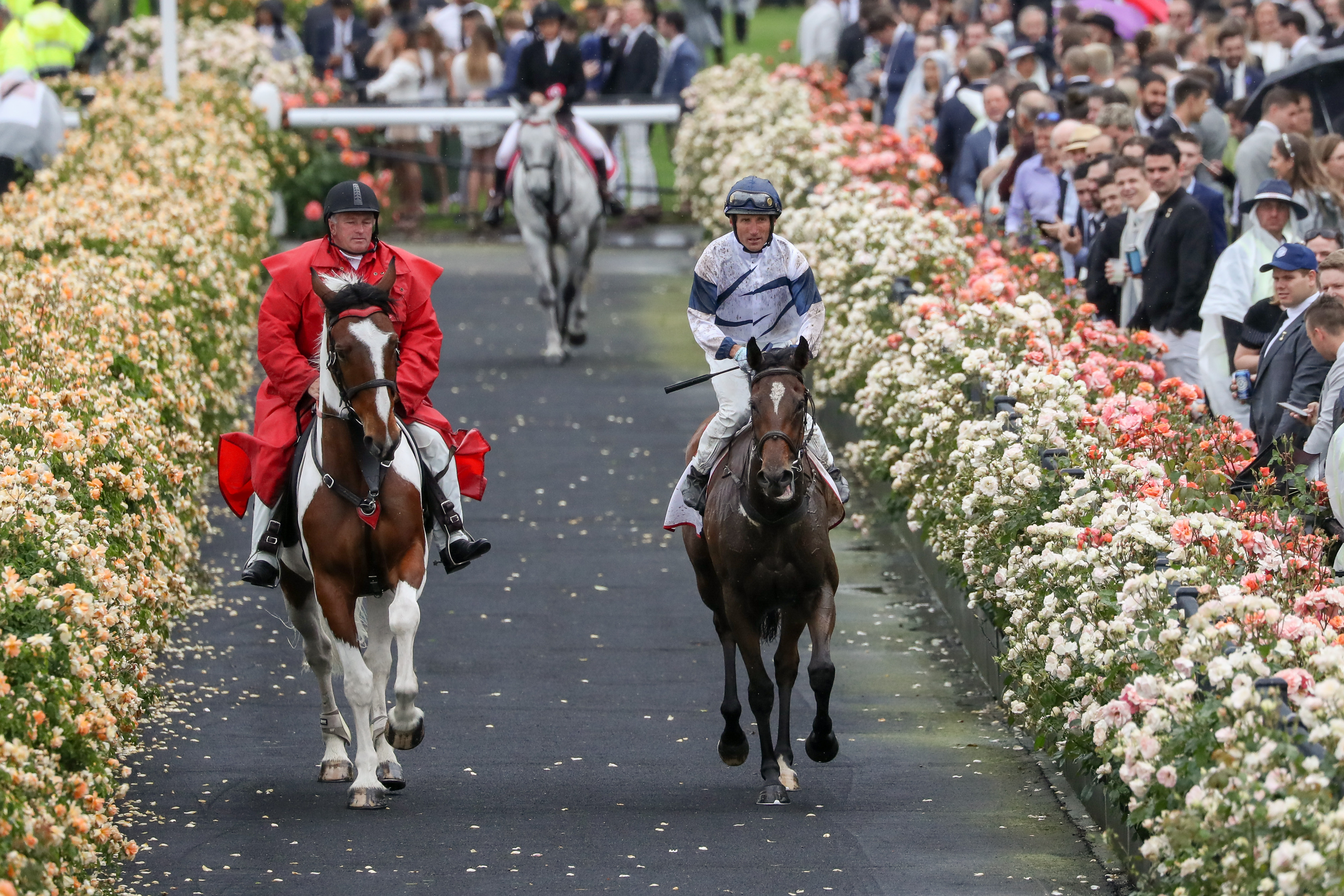 VRC Crown Oaks Preview
