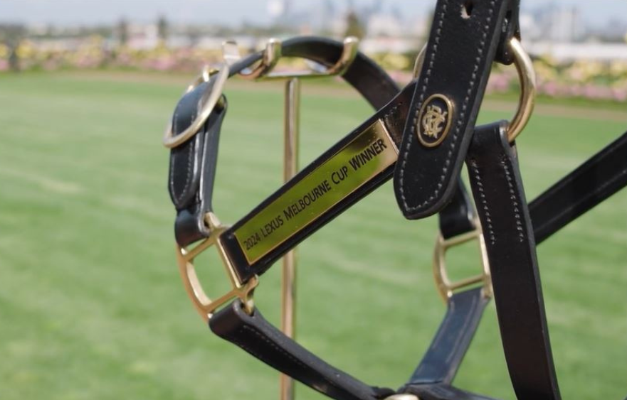 Crowning Glory: a new trophy for the Lexus Melbourne Cup champion horse