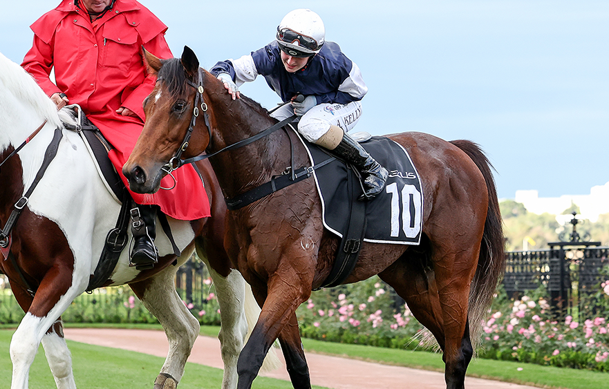 The Golden Ticket: an express pass to the Cup