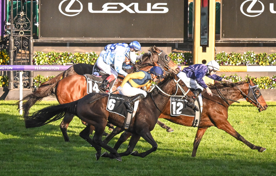 The Map lands Melbourne Cup berth