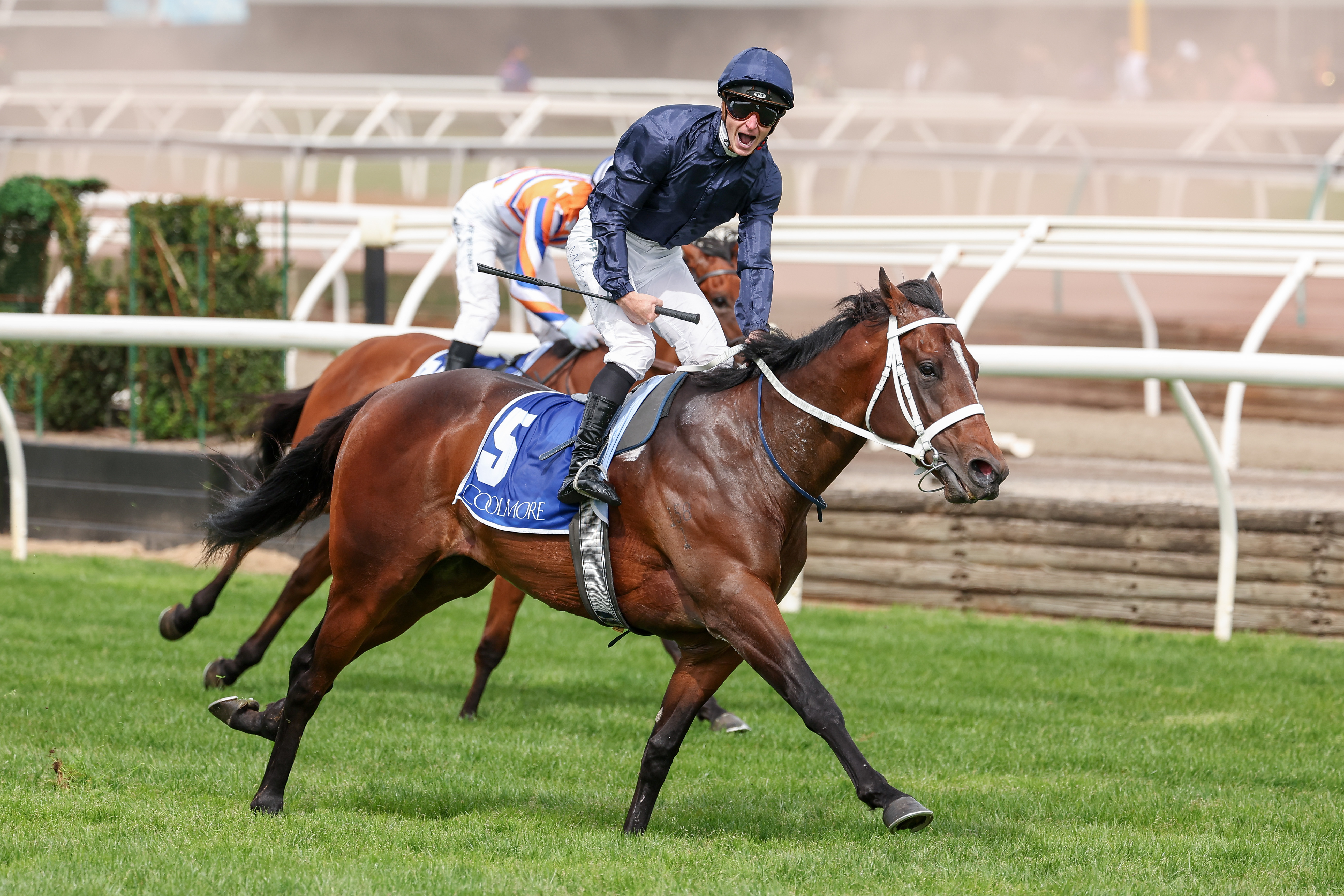 Waller’s Lightning Affair