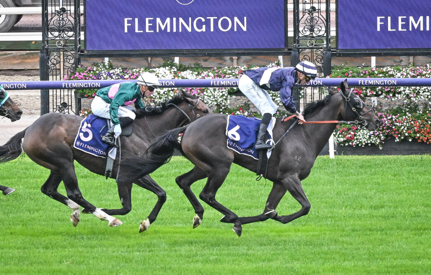 Shall Samuel and Twain meet in November?