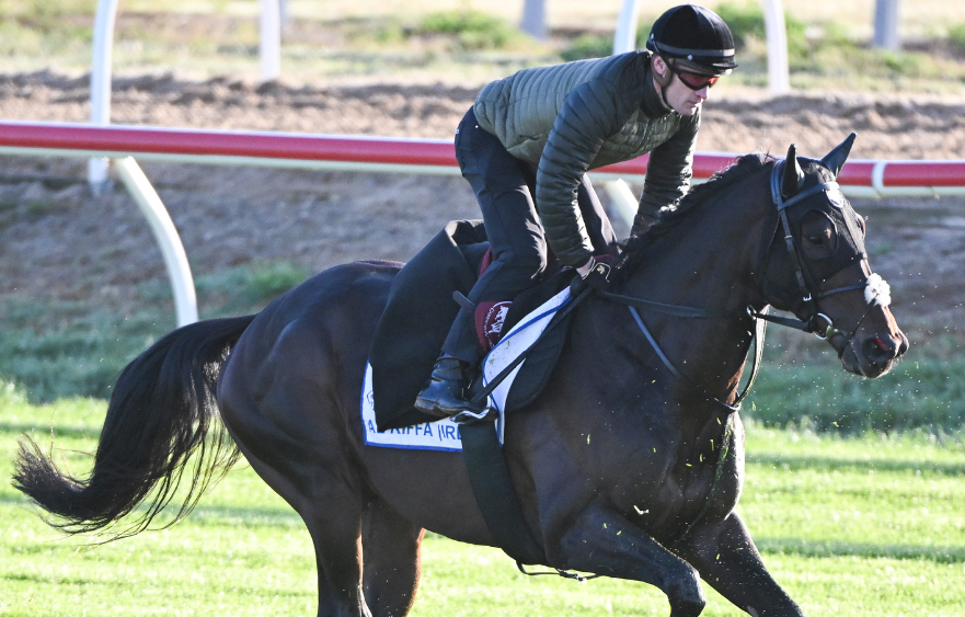 A closer look at the Lexus Melbourne Cup