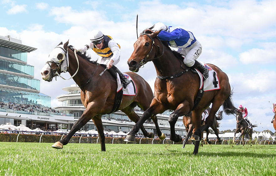 Coursing History – Brightside chasing unique treble