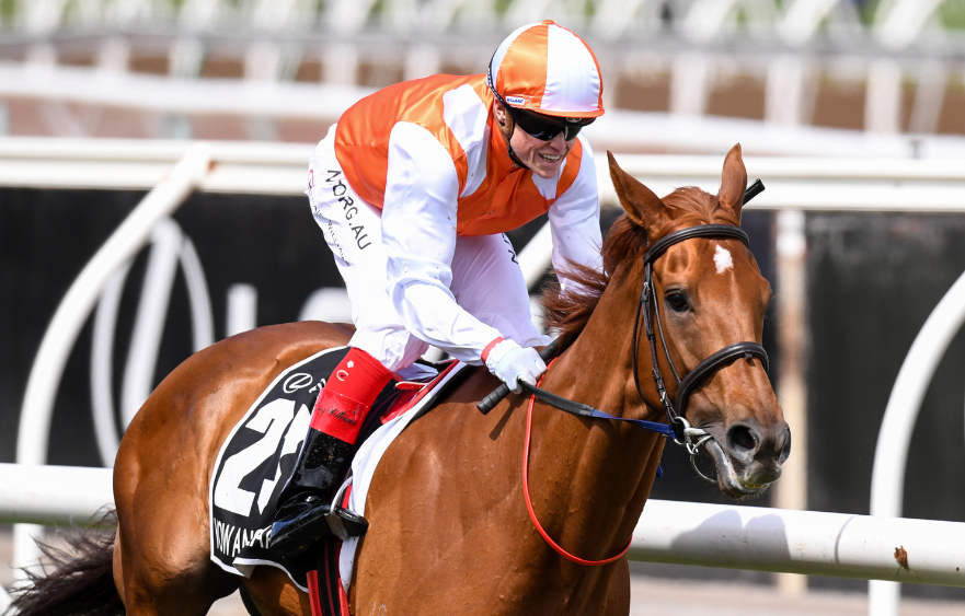 Craig Williams: 2019 Lexus Melbourne Cup glory