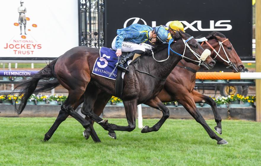 Special win headlines National Jockeys Trust Race Day