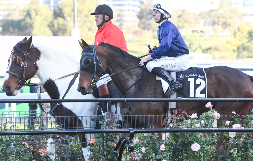 The Map is ready to run the Lexus Melbourne Cup
