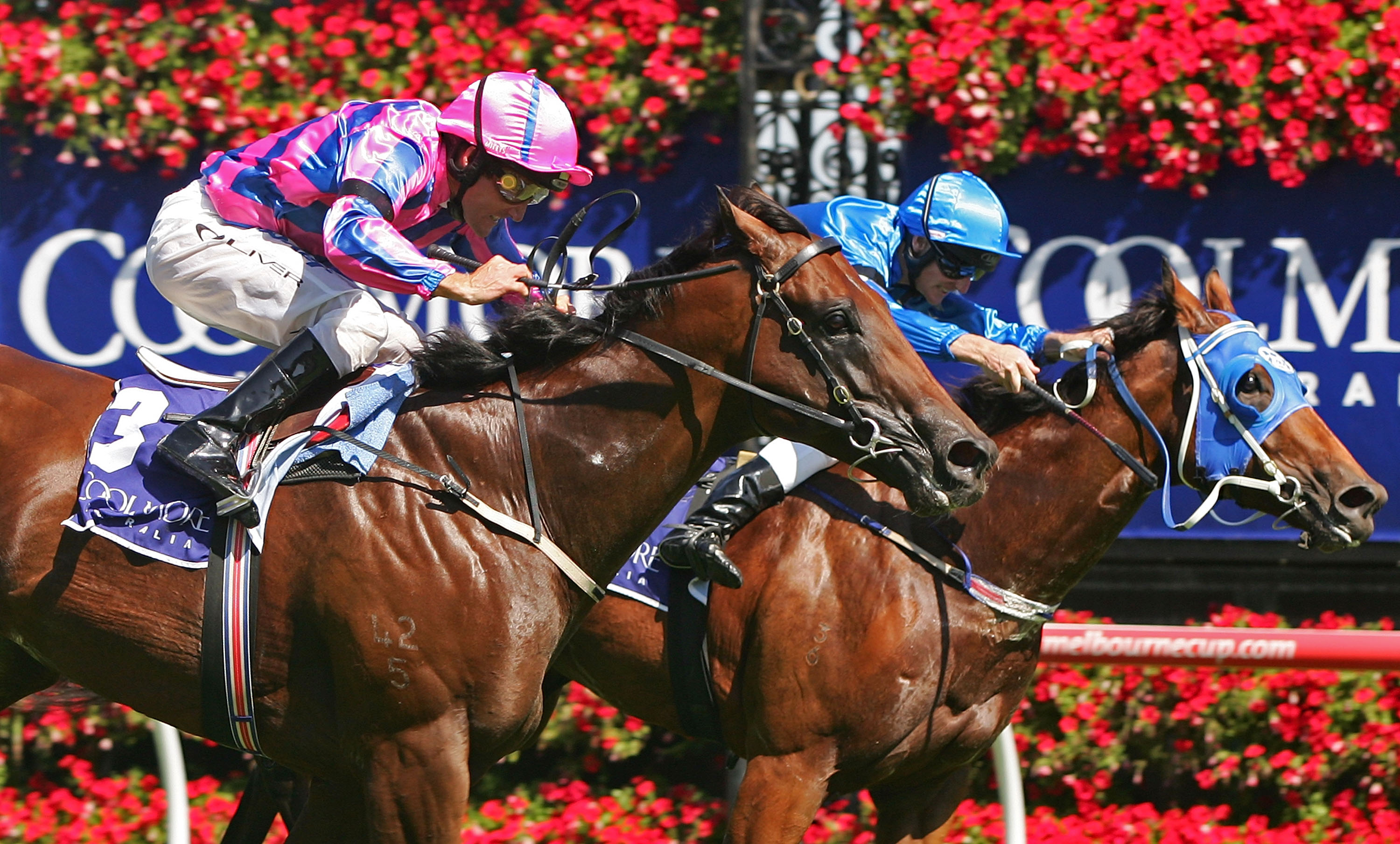 Legends of the Black Caviar Lightning