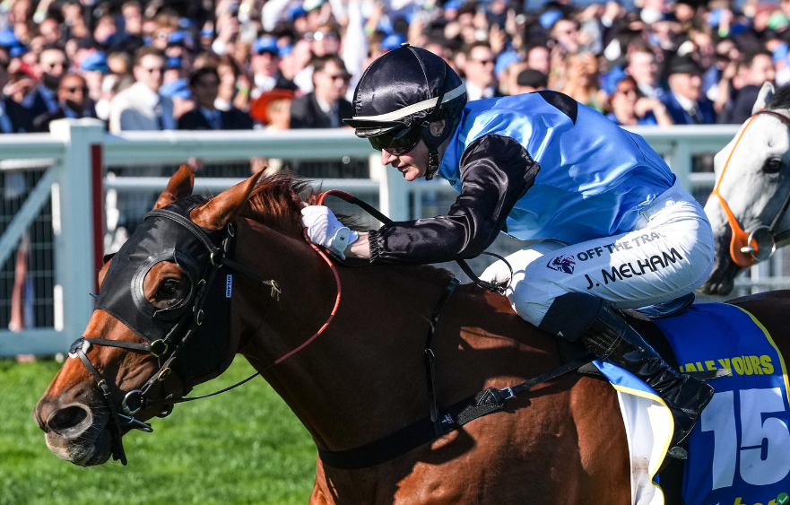 Half Yours luck is in ahead of Cup