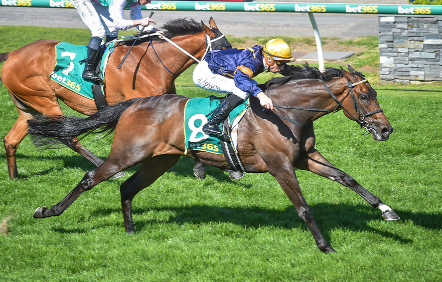Emissary receives Lexus Melbourne Cup penalty