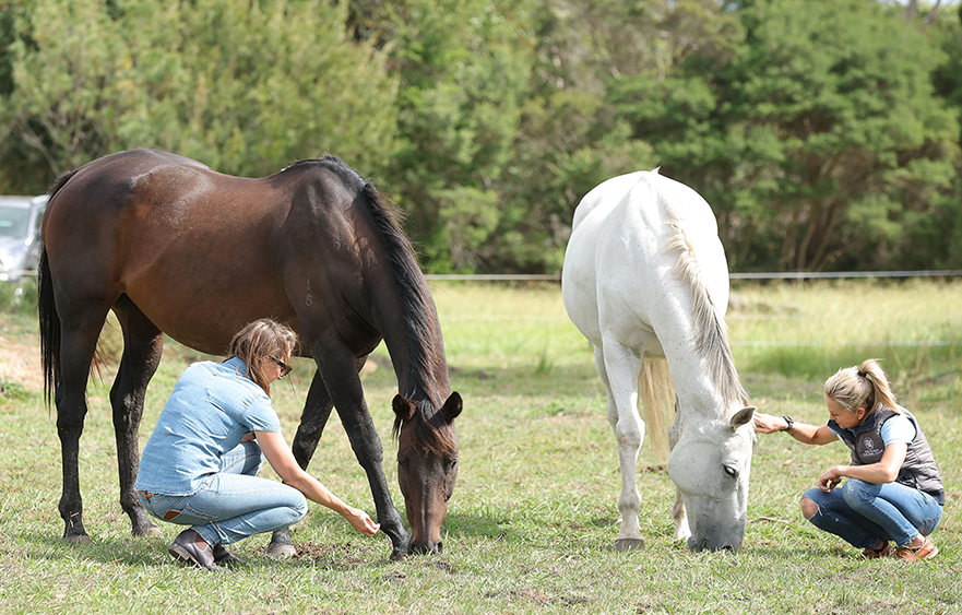 Victoria Racing Club and Racing Hearts in new partnership to support pathways to learning for at-risk teens