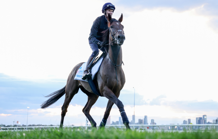 West Wind Blows adds to Turnbull intrigue