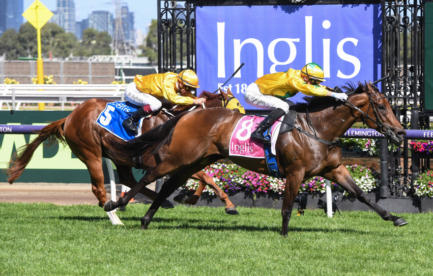 The Inglis Sprint: a million-dollar race with Pink Bonus appeal