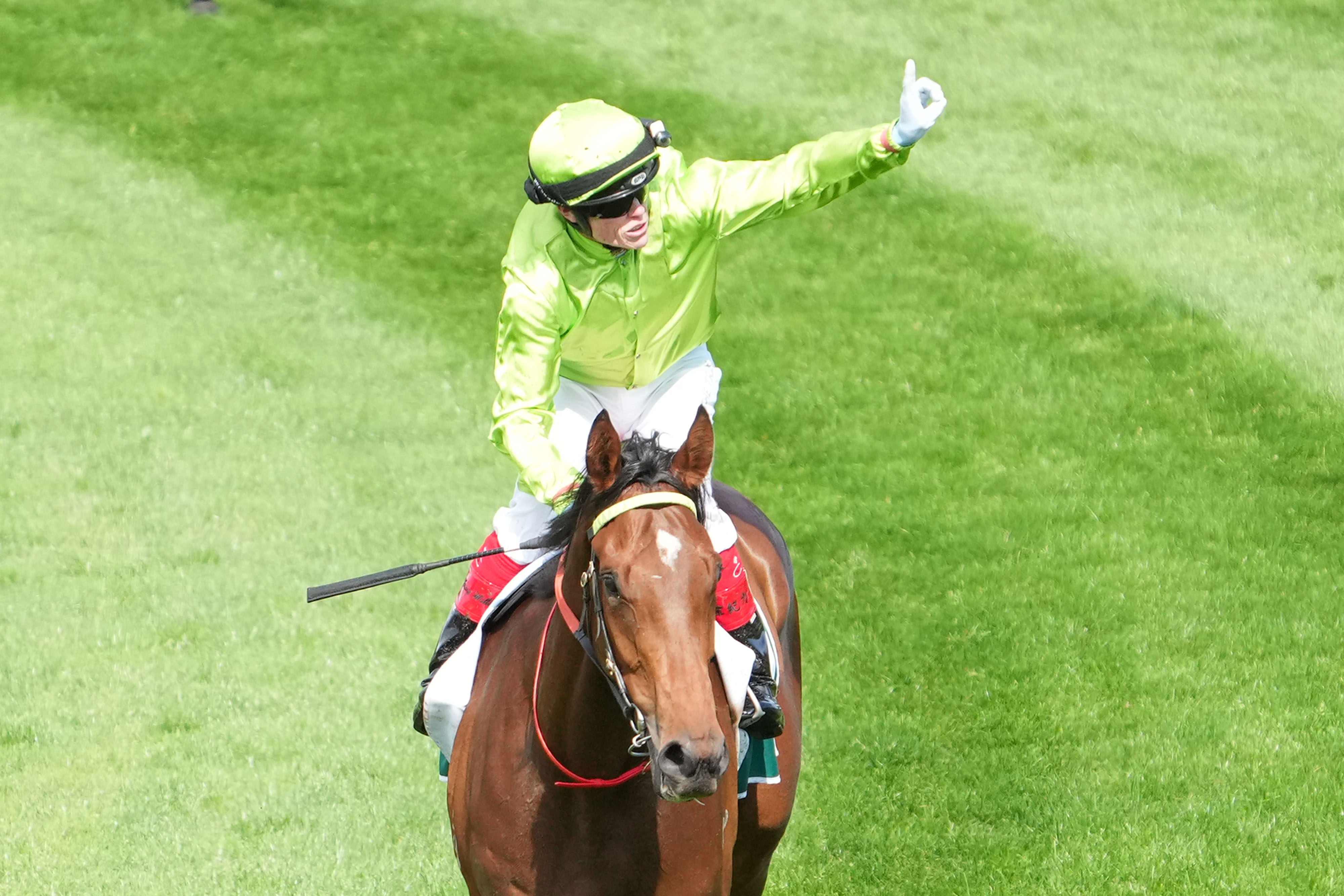 Berkeley Square new favourite for Penfolds Victoria Derby