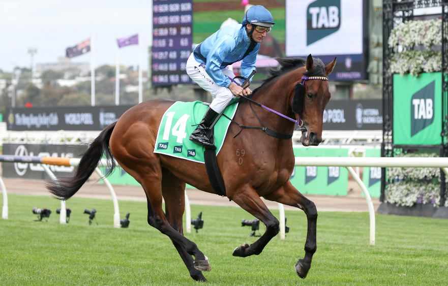 Could Ollie have a fairytale ending?