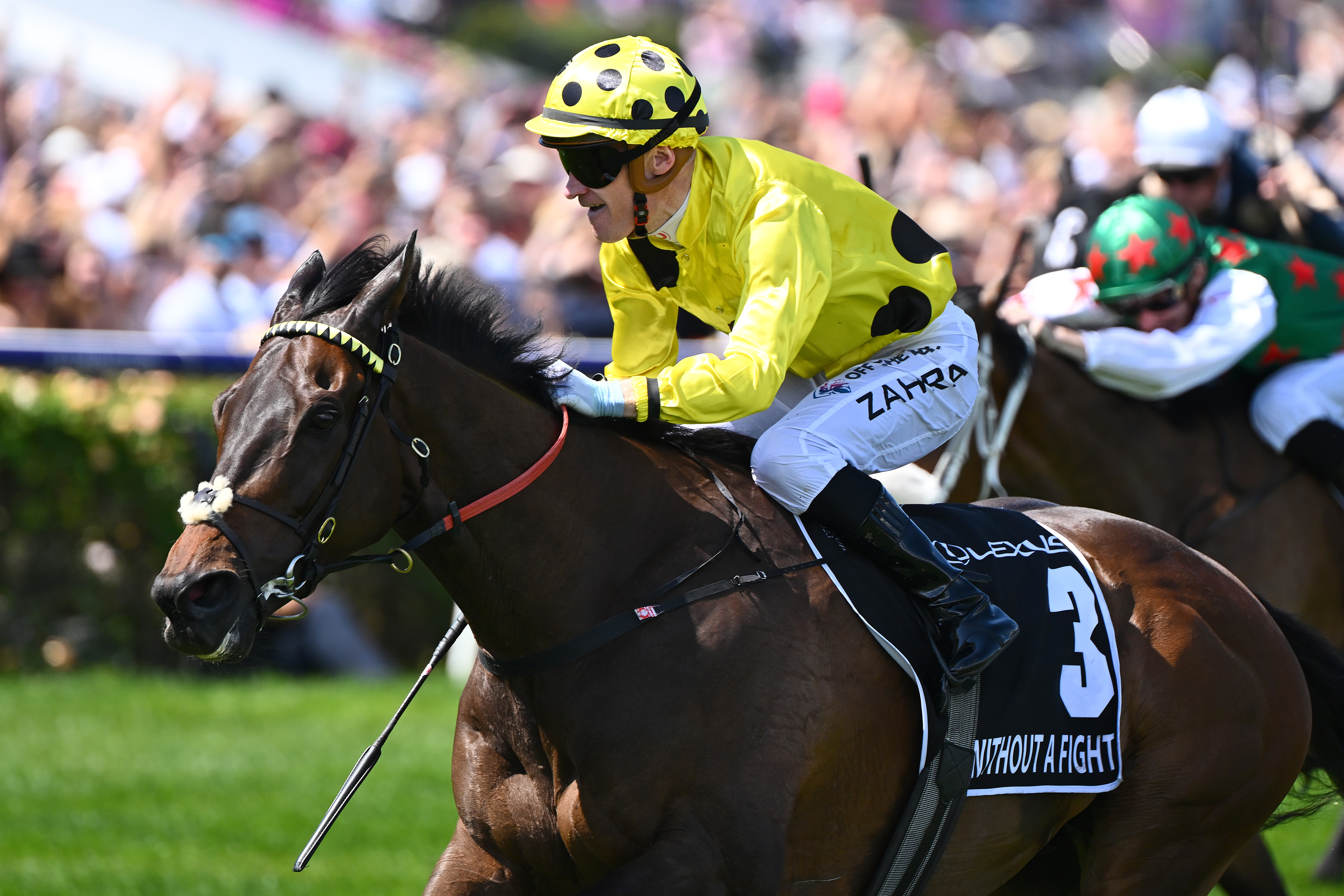 Without A Fight the talk of a nation after Lexus Melbourne Cup success