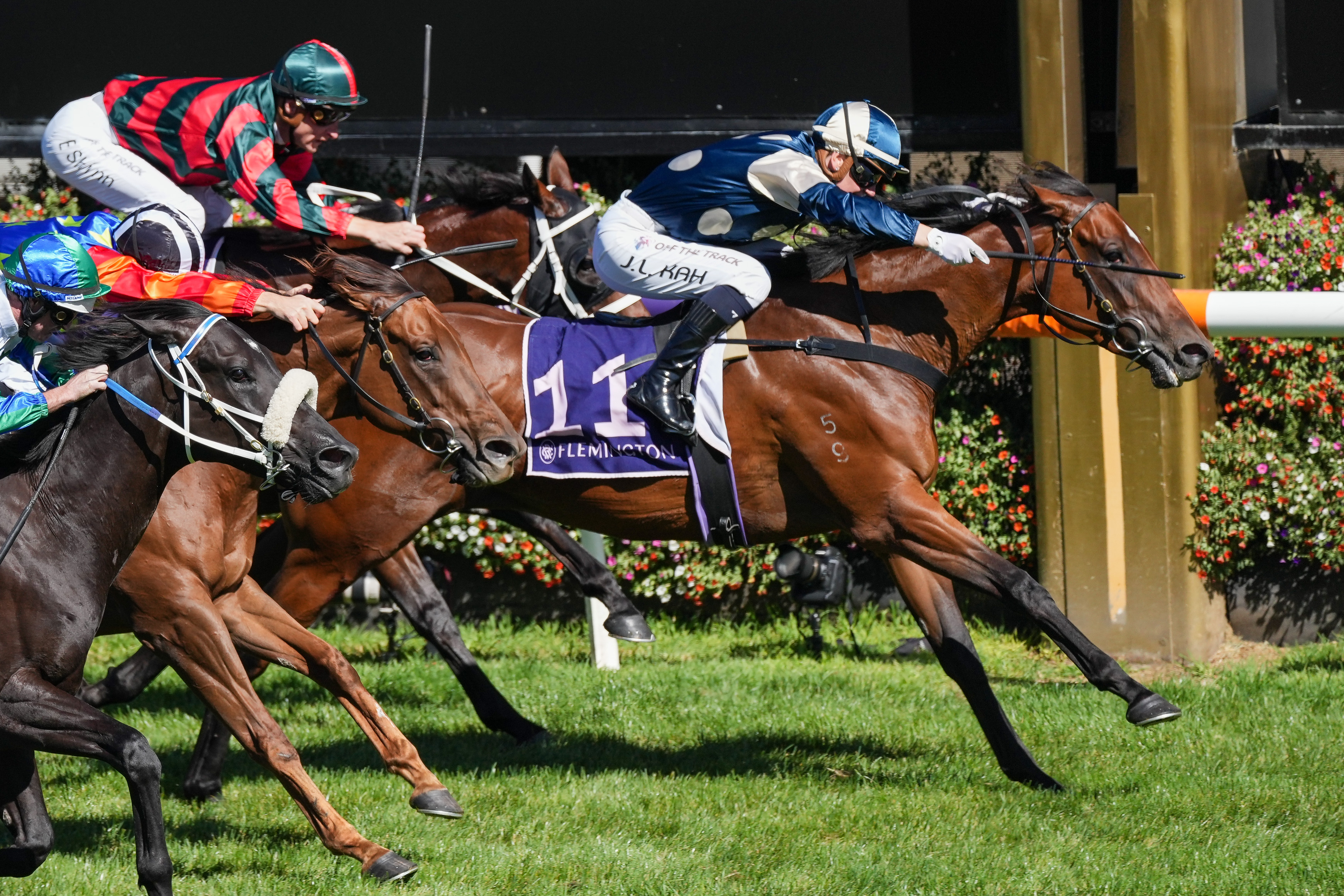 Coolangatta brilliant in Black Caviar Lightning