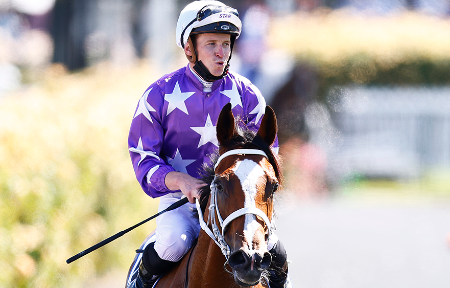 Future bright for Espiona after Desirable demolition