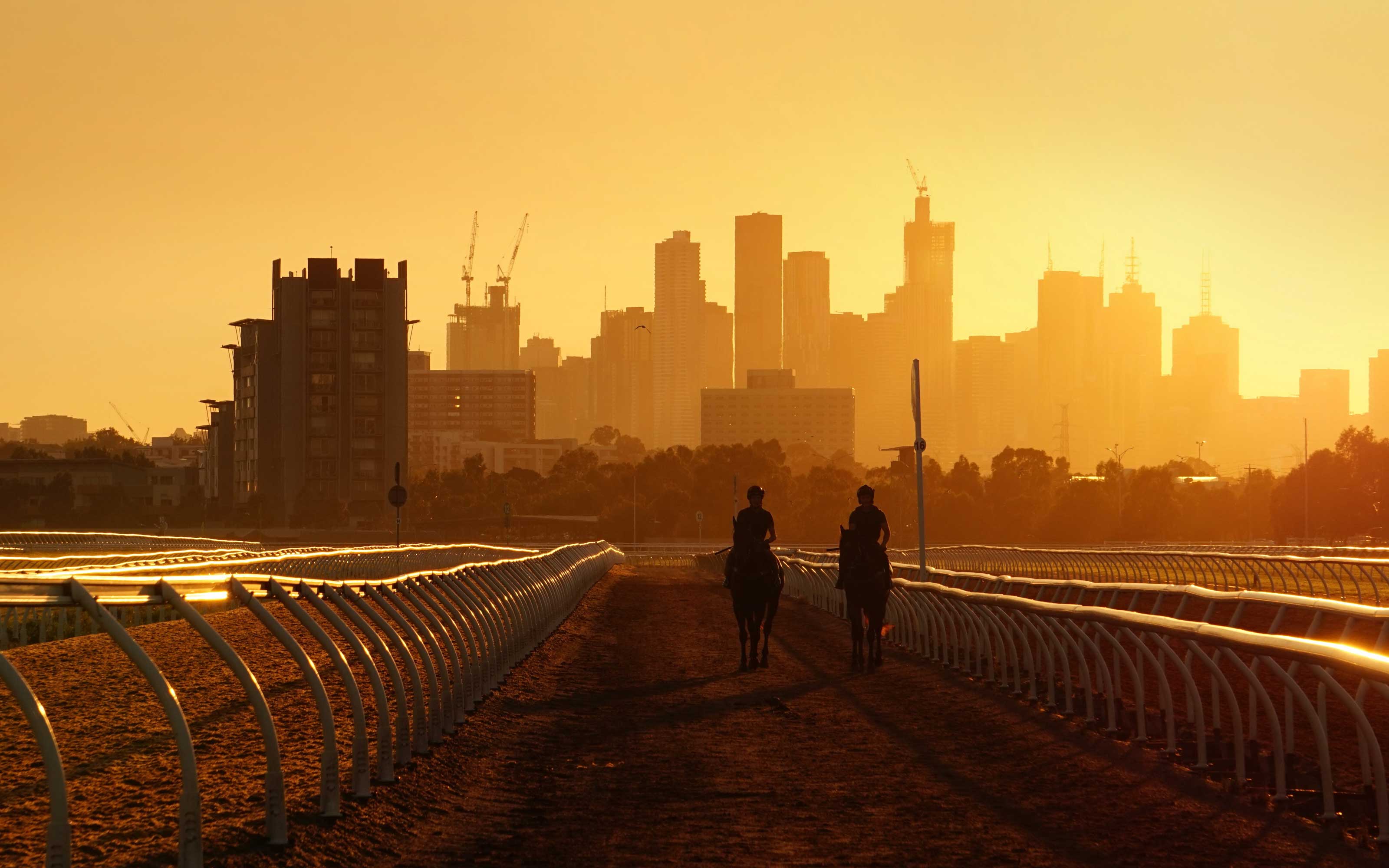 Racing Victoria equine welfare strategic plan