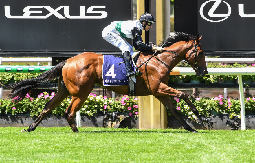 Hayes family’s Hard week ends on a high