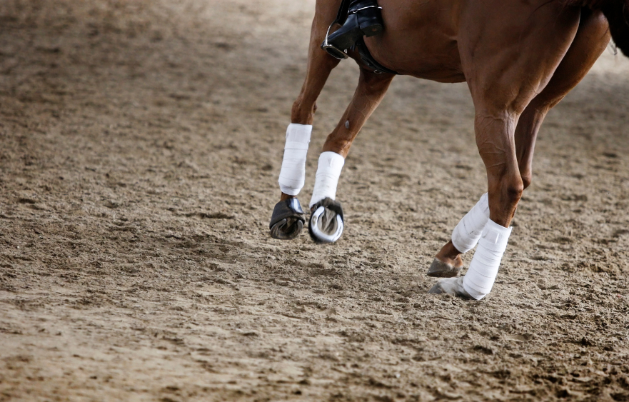 Developing through dressage