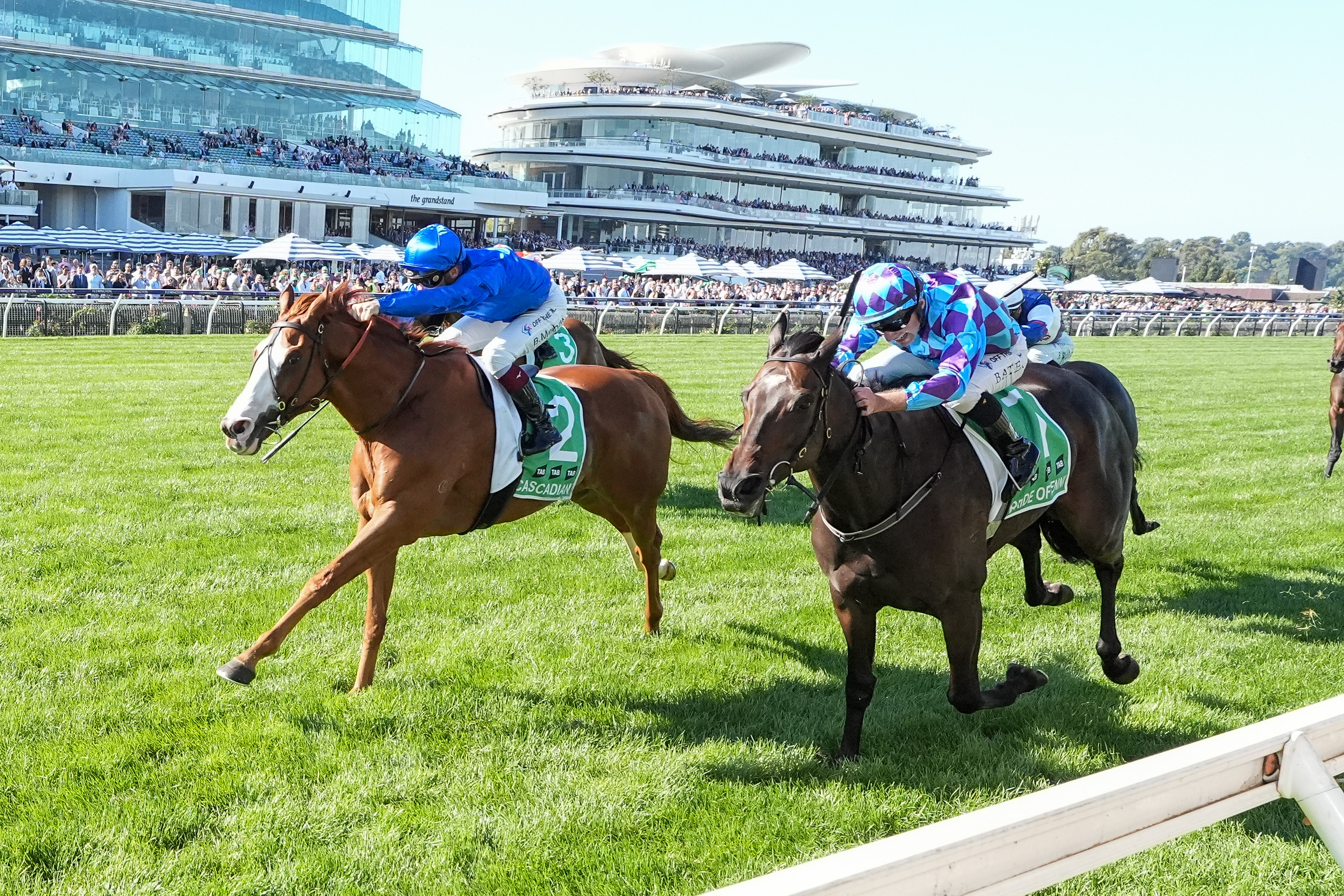 Dual TAB Australian Cup winner Cascadian retires