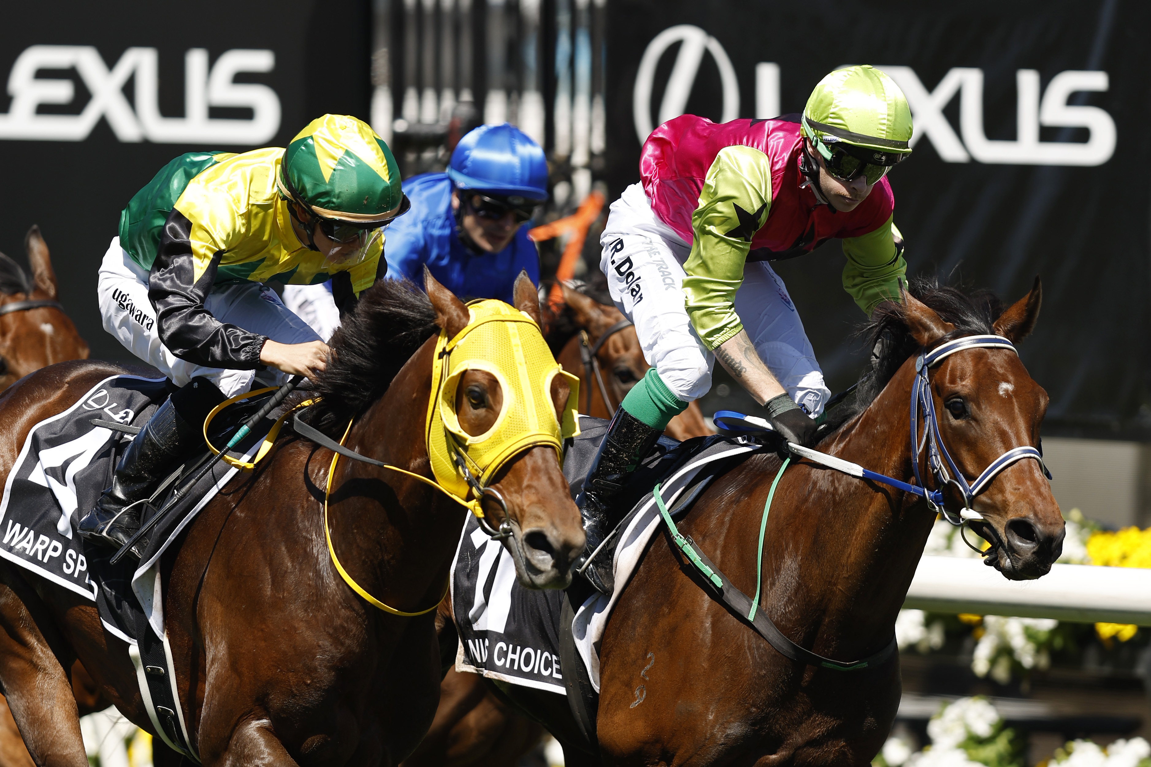 Dolan delivers in the Lexus Melbourne Cup