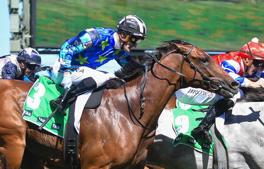 Maher loads Australian Cup bases