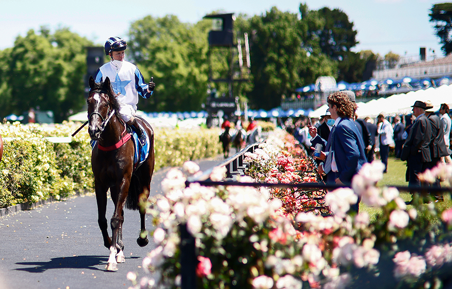 Inglis Bracelet fits Foxy Frida