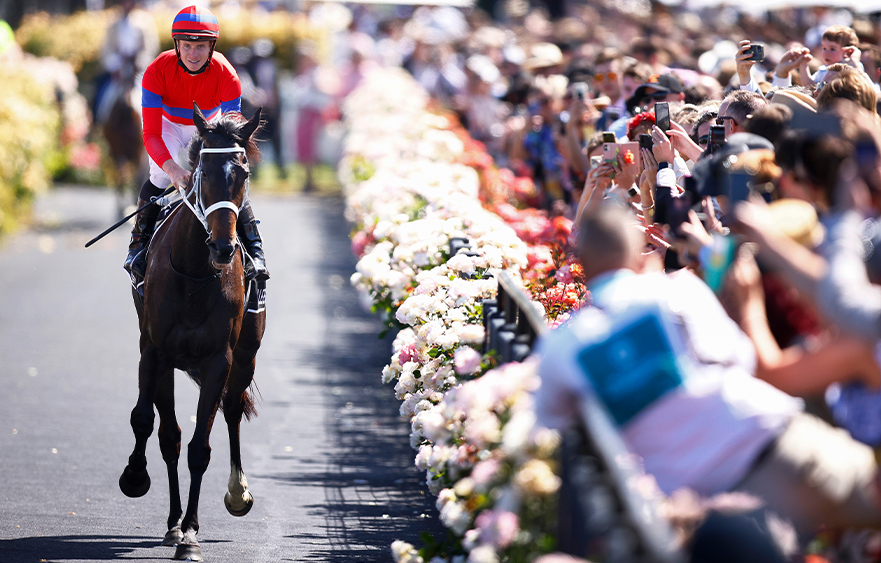 Taking on the challenge