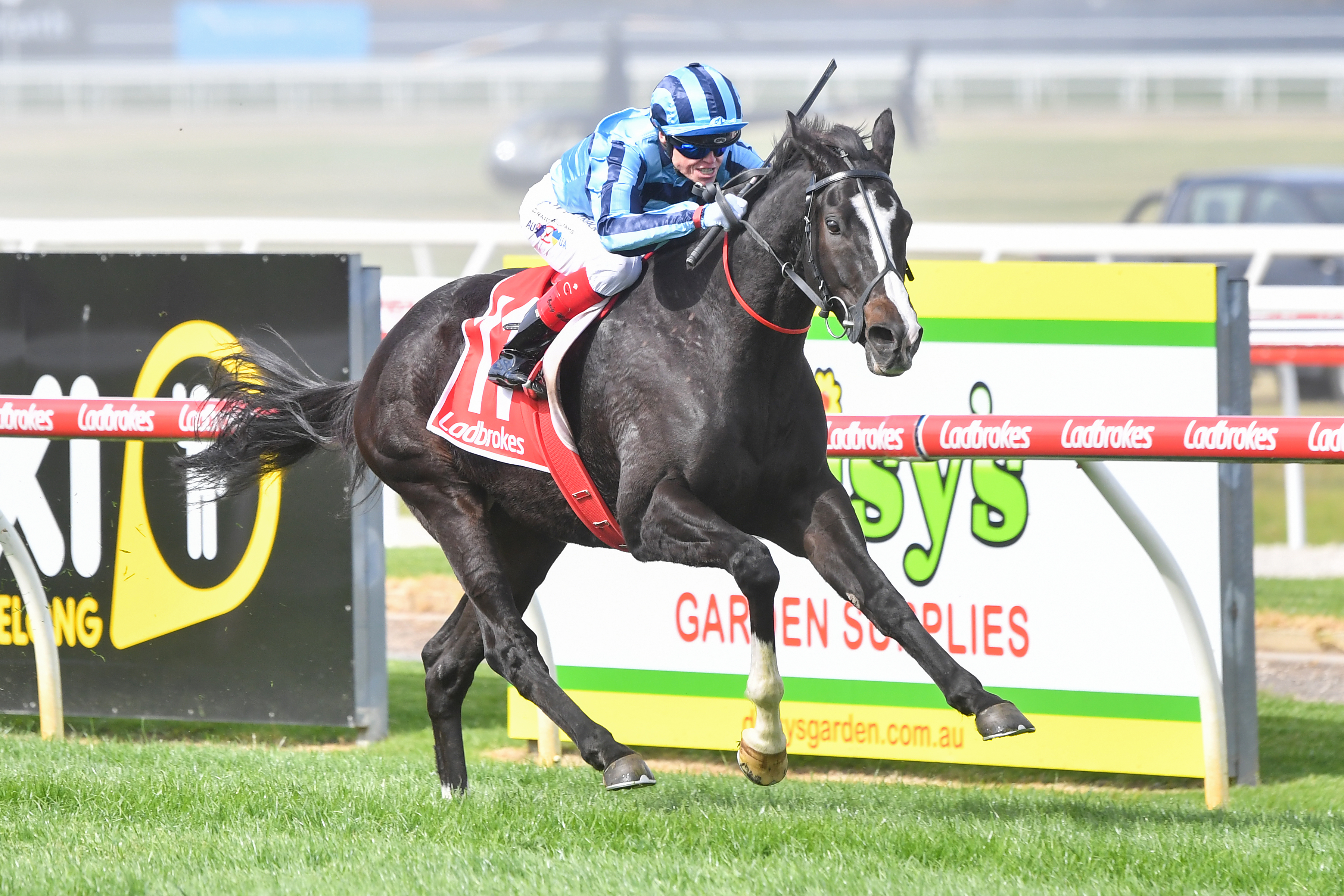 Onesmoothoperator moves into Cup calculations