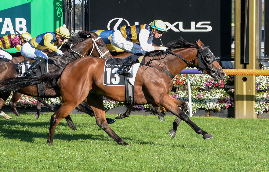 Mark Twain writes ticket to 2024 Lexus Melbourne Cup