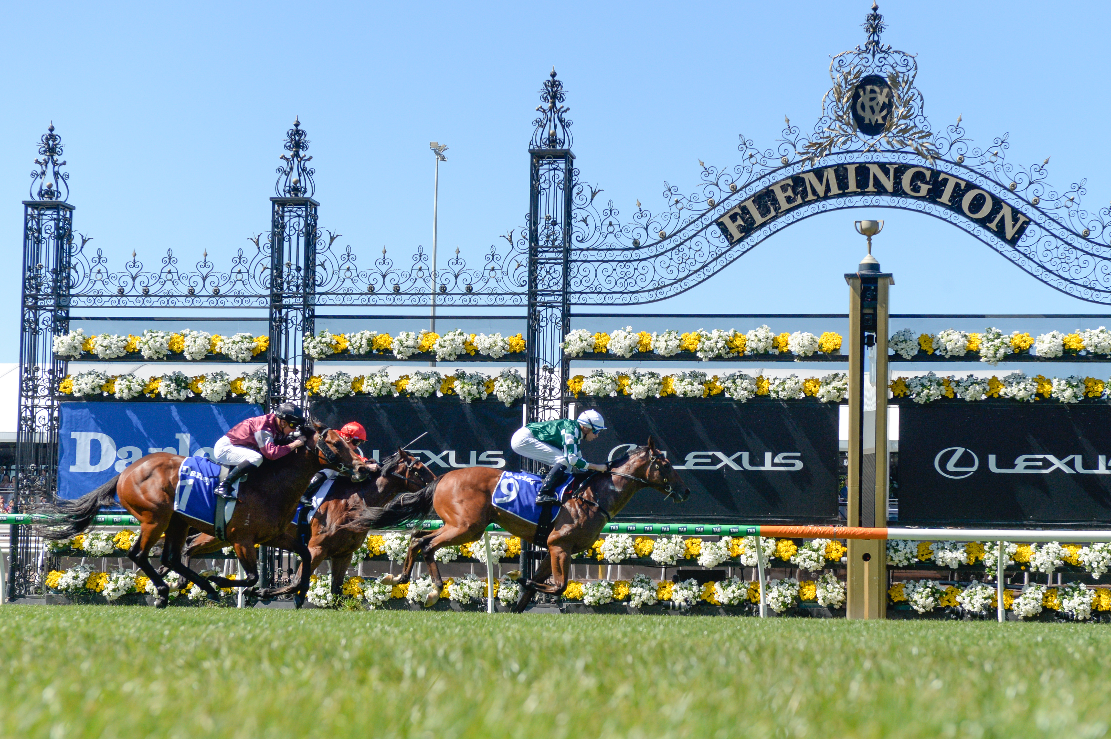 Lindsay Park stars in Maribyrnong Plate