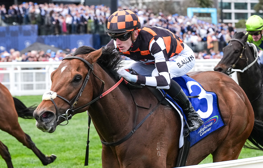 Zou Sensation off long run for another Stakes success