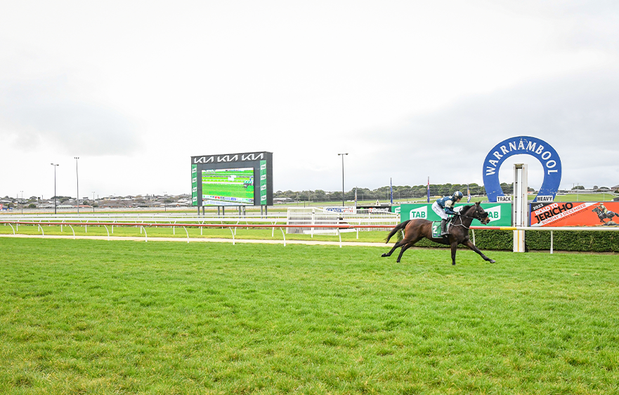 Rejuvenated Le Baol back to Flemington