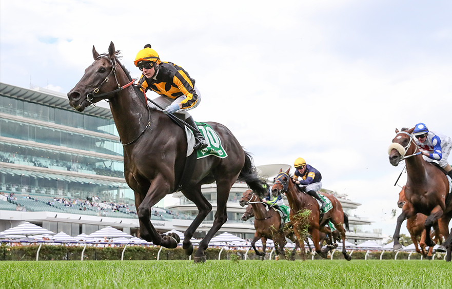 Trip rise to suit Nonconformist