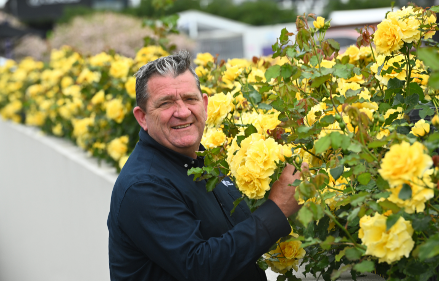 Cultivating Connection: Flemington’s "Keeper of the Roses" shares his craft