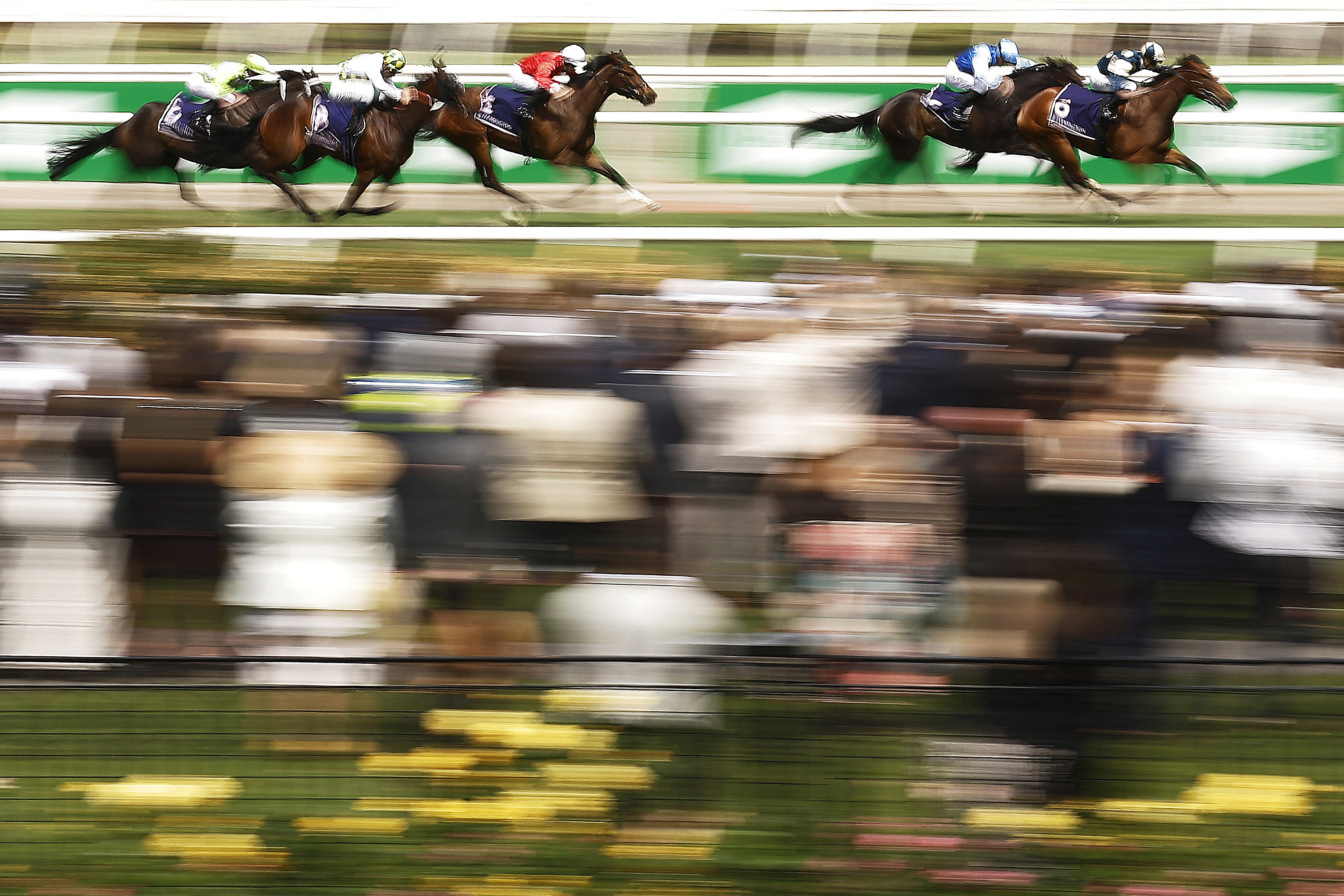 From Derby Day to the Cup Carnival