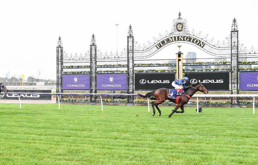 Steparty impressive down the Flemington straight