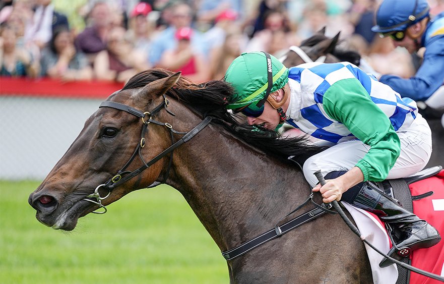 Grid Girl all go to tick Stakes box