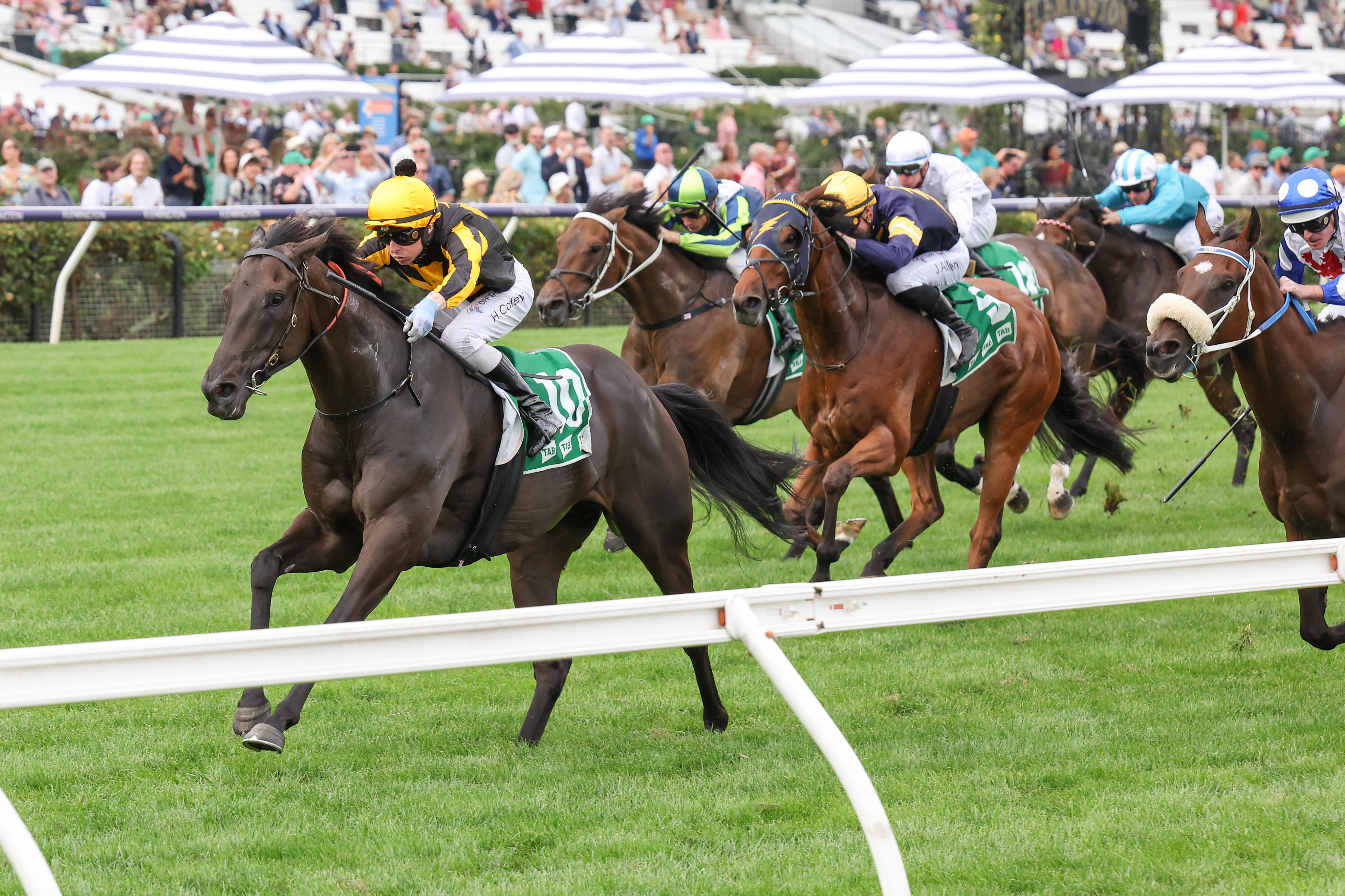 Nonconformist and Lunar Flare set to saddle-up in Australian Cup