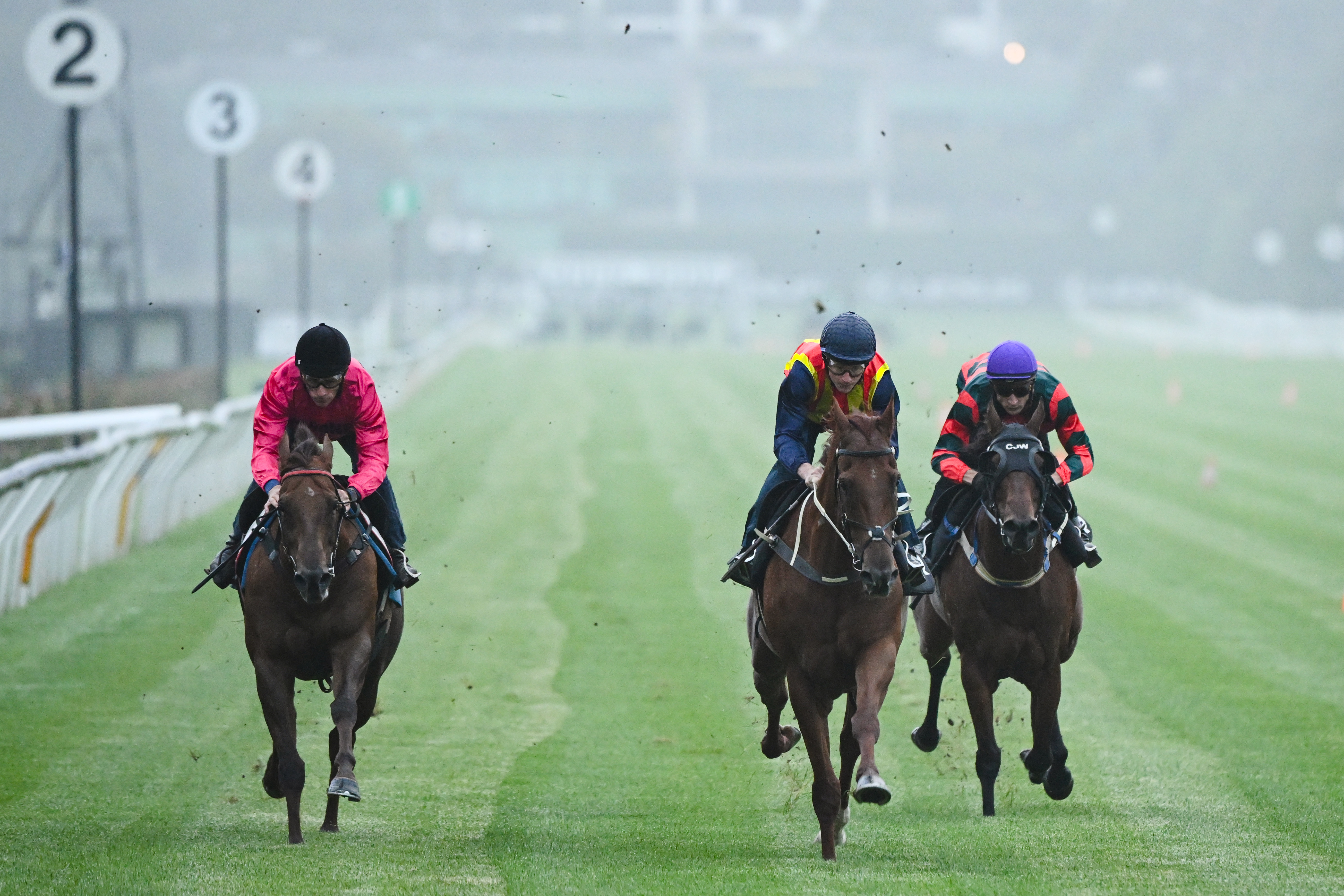 Nature Strip all set for Lightning strike