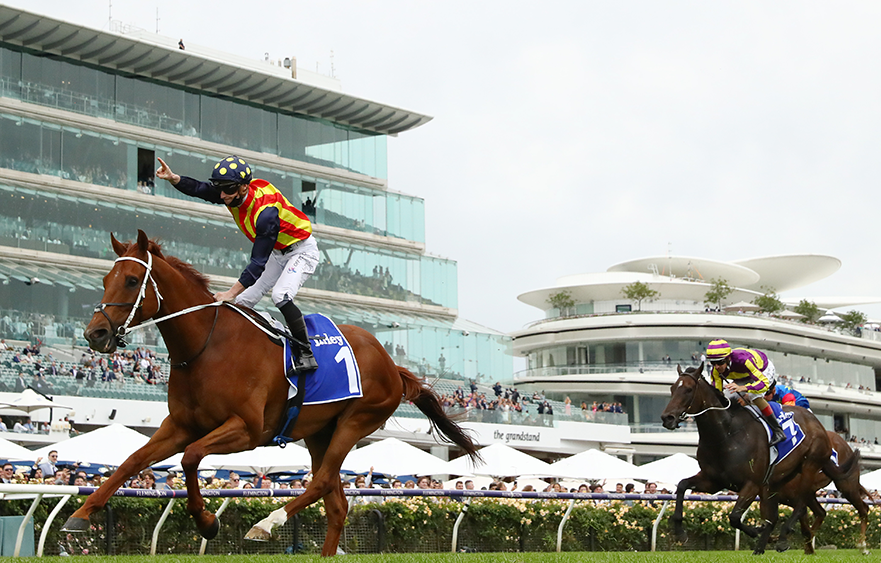 Nature Strip sizzles in Darley Sprint Classic