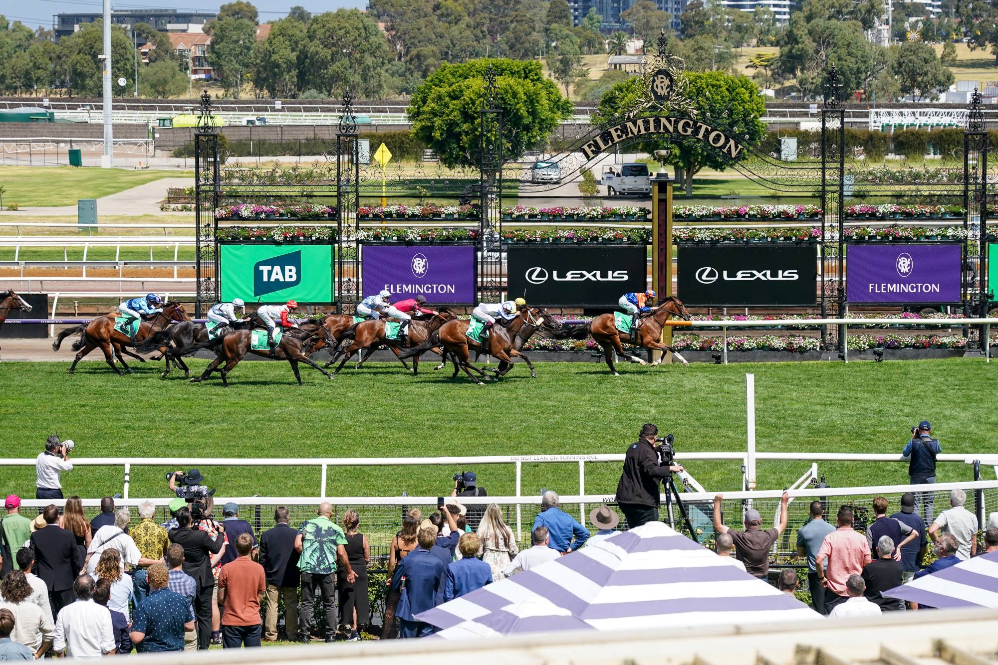 Grinzinger Belle holds solid in TAB Vanity victory