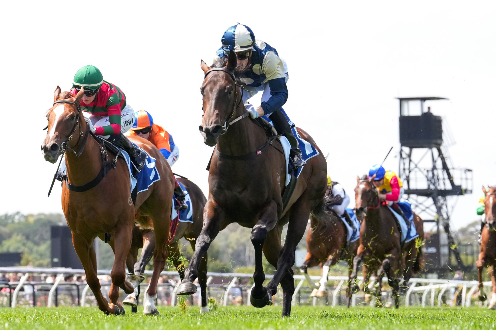 Bold Bastille too speedy in Furphy Trophy